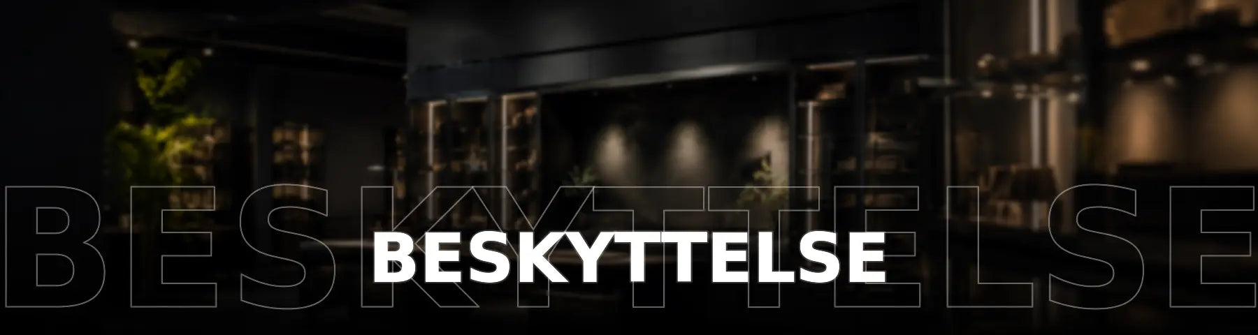Beskyttelse