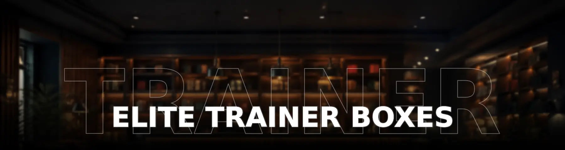 Pokémon - Elite Trainer Boxe
